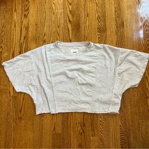 Aerie Light Grey Terry Cotton Crop T Shirt